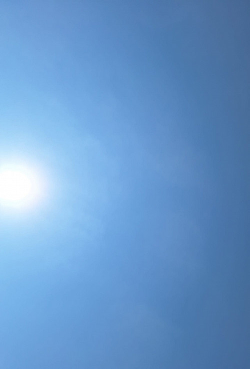 Sunlight